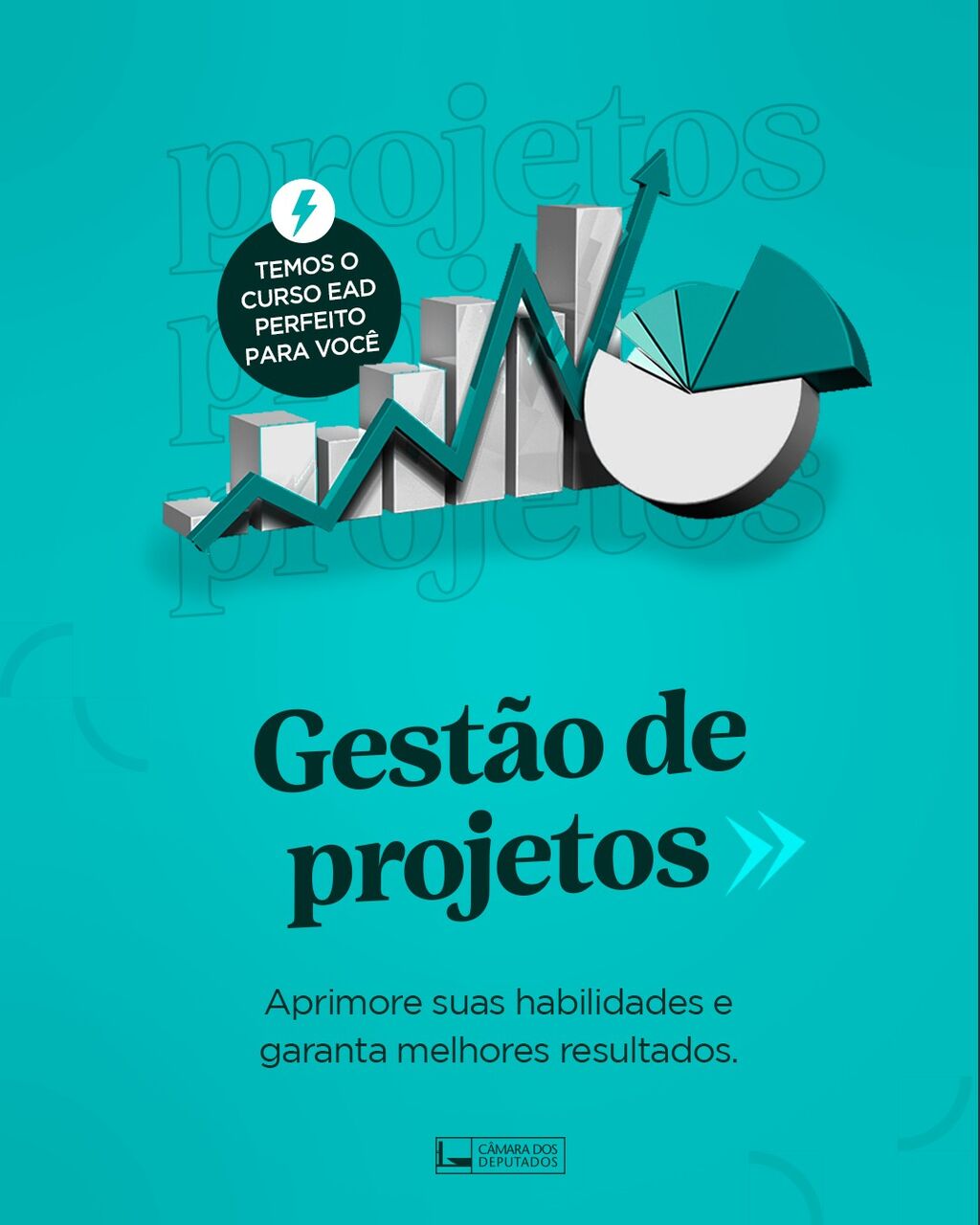 Gest&atilde;o de projetos
