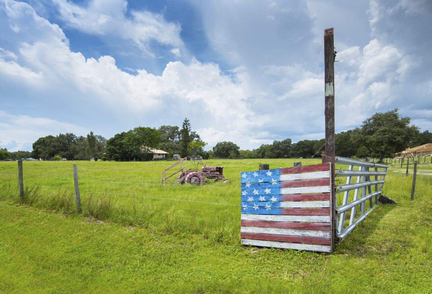 Reclaiming Collective Life in a Fractured U.S.