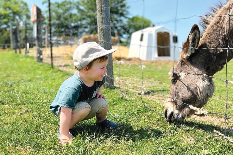 spring-rural-romp-through-wellington-county/
