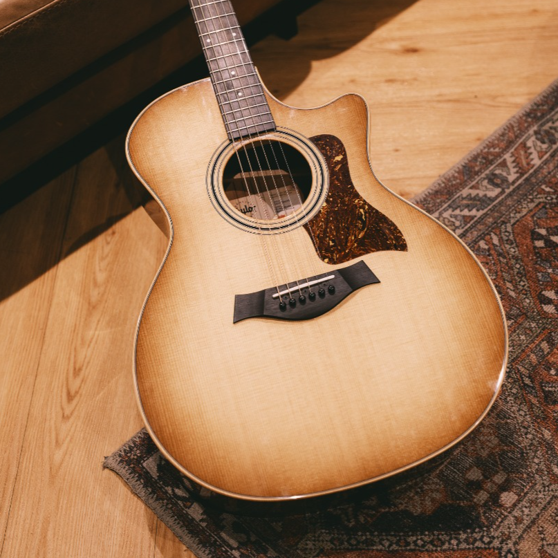 Taylor 2025 Guitars
