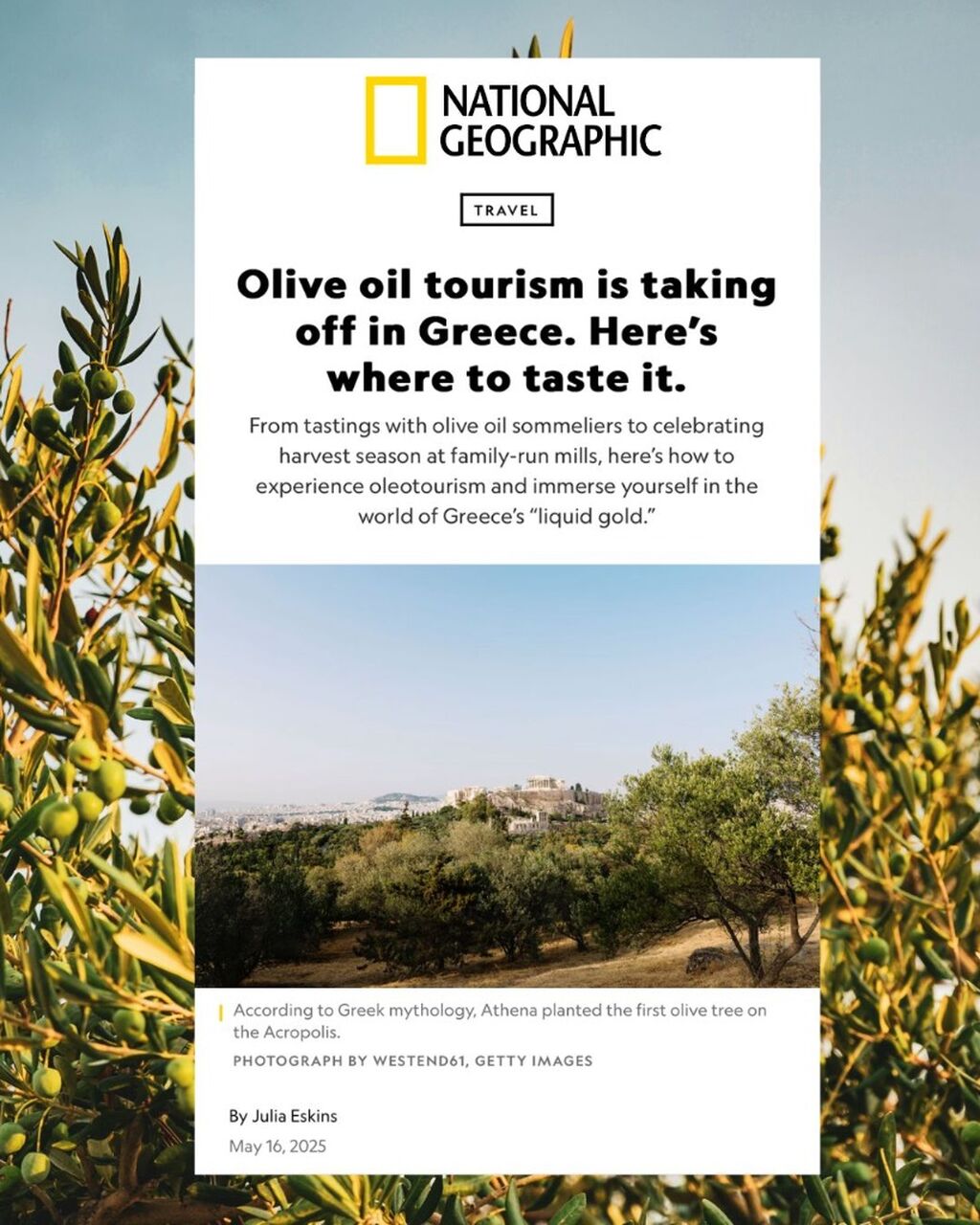 Olive oil tourism