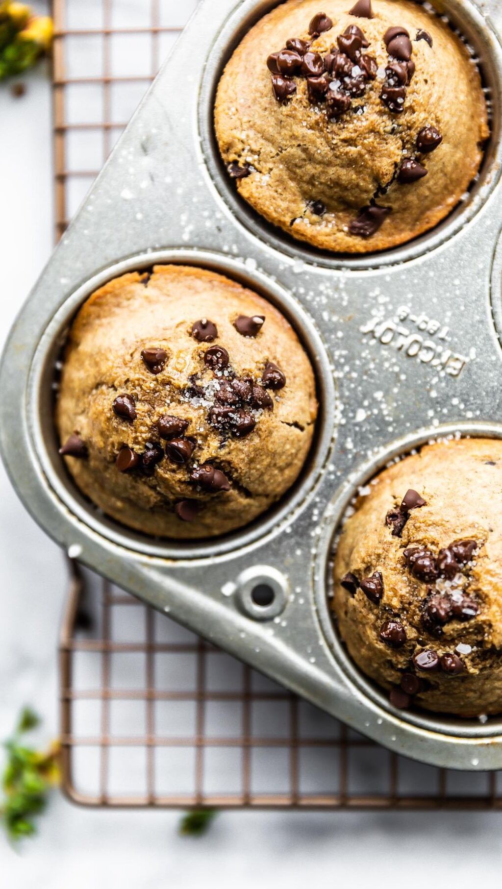 Chocolate Chip Protein Muffins (flourless)