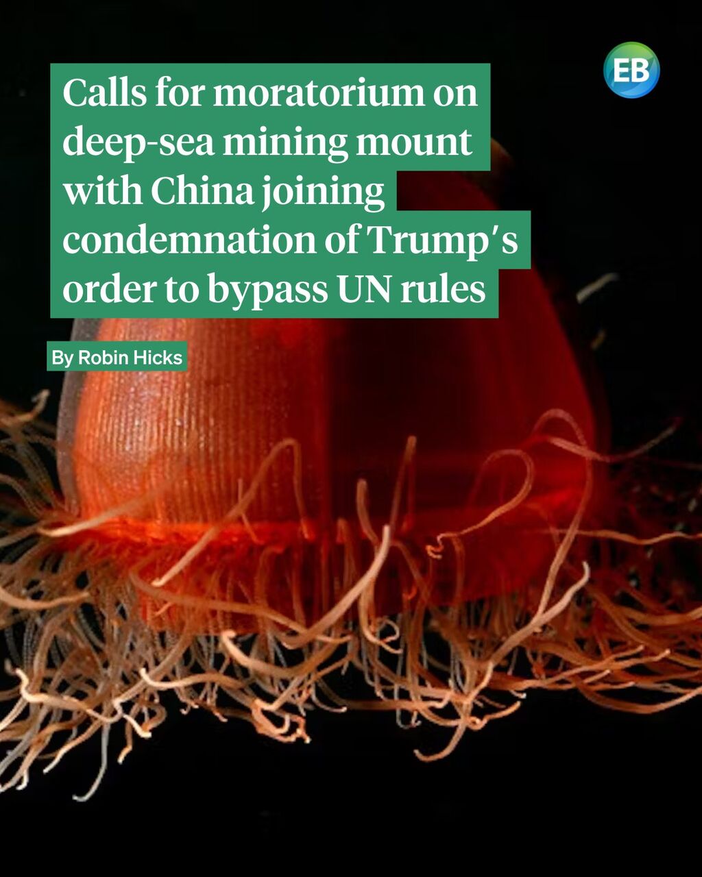 Calls for moratorium on deep-sea mining mount with China joining condemnation of Trump&rsquo;s order to bypass UN rules