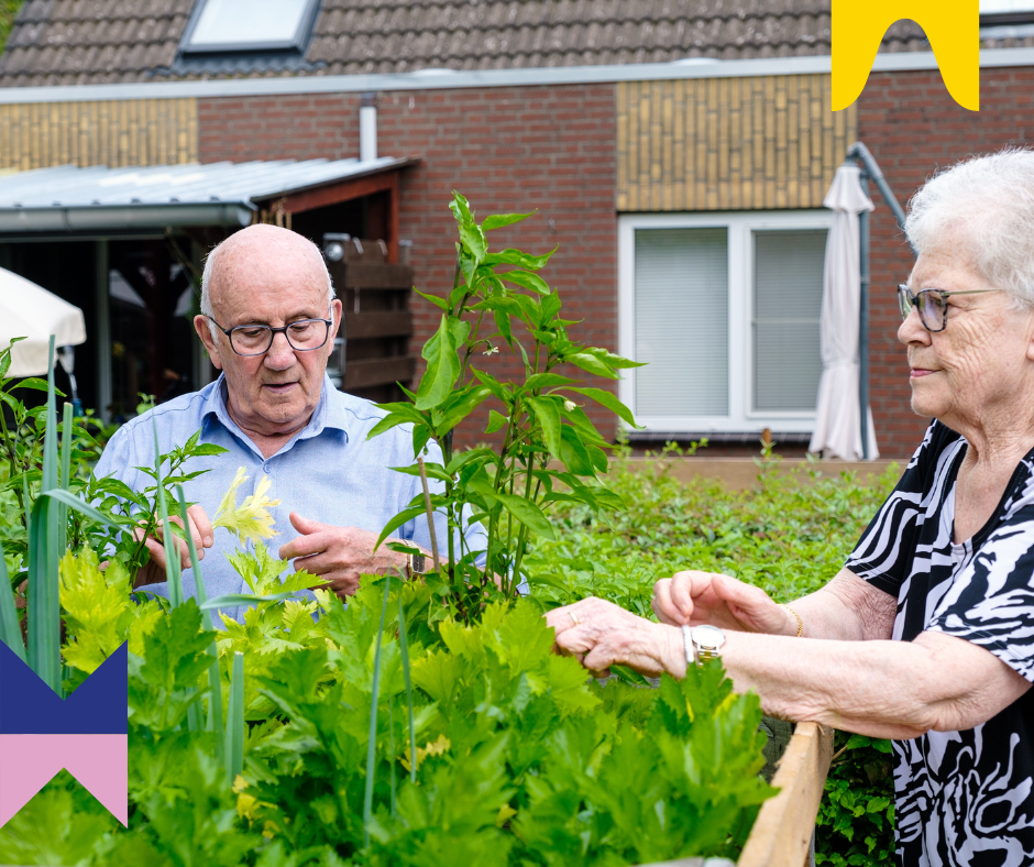 Groen dat verbindt: onze nieuwe visie op binnenhofjes, tuintjes en meer