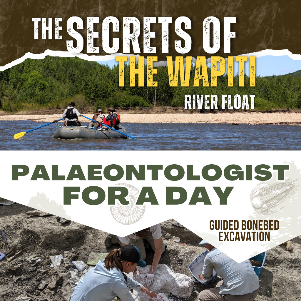 Wapiti Rafting and Bonebed Dig