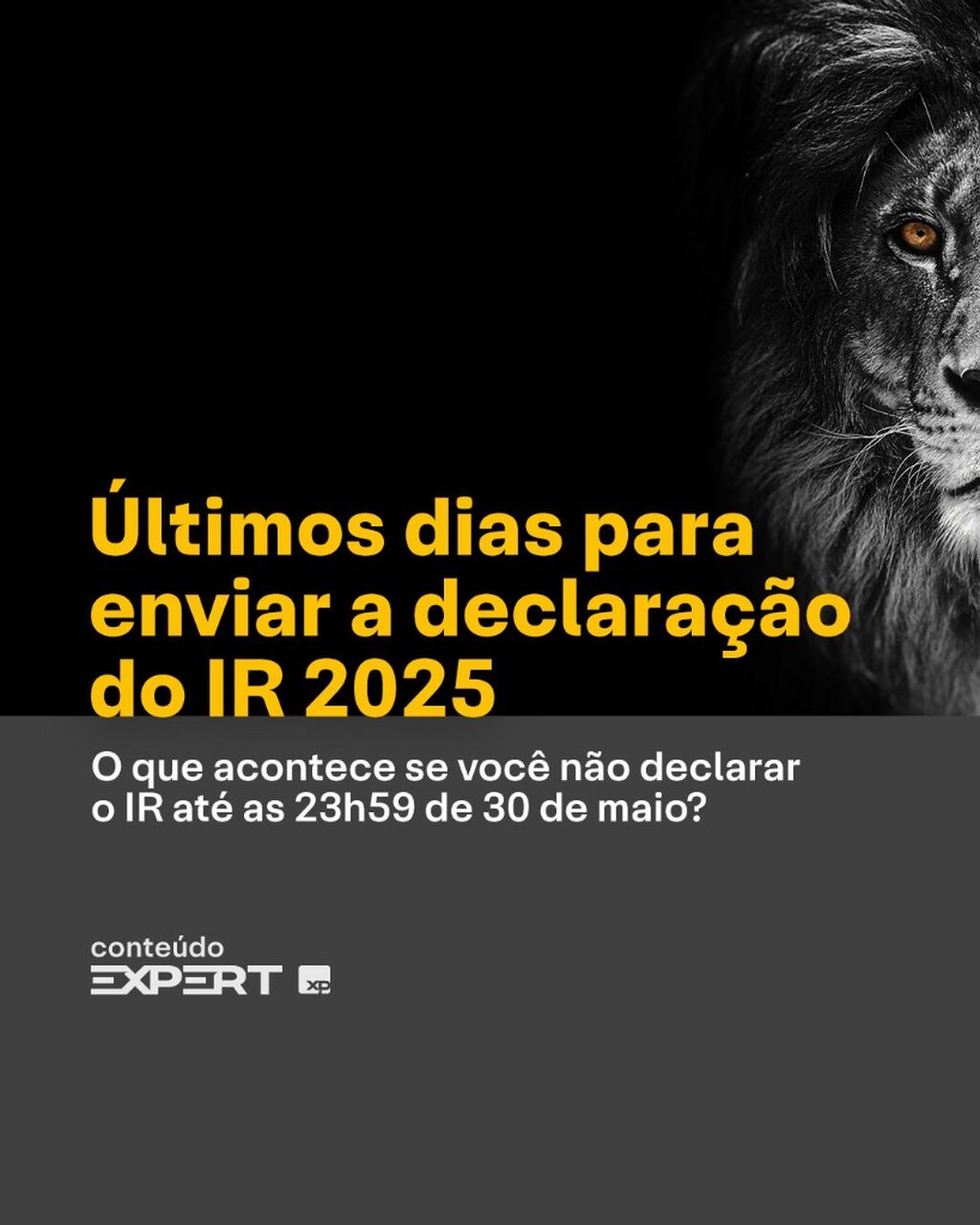 Ultimos dias IR