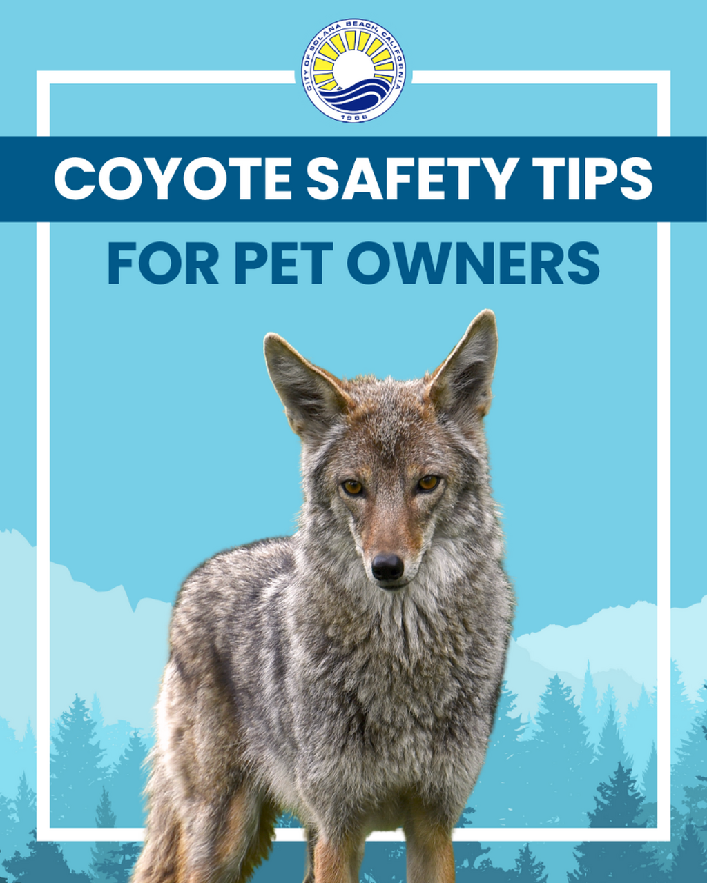 Coyote Conflict Solutions