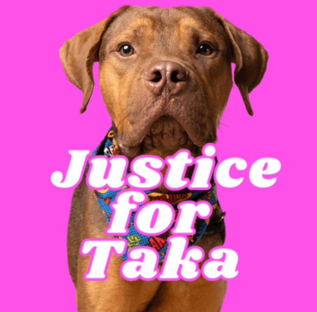 Sign the Petition: Justice4Taka 