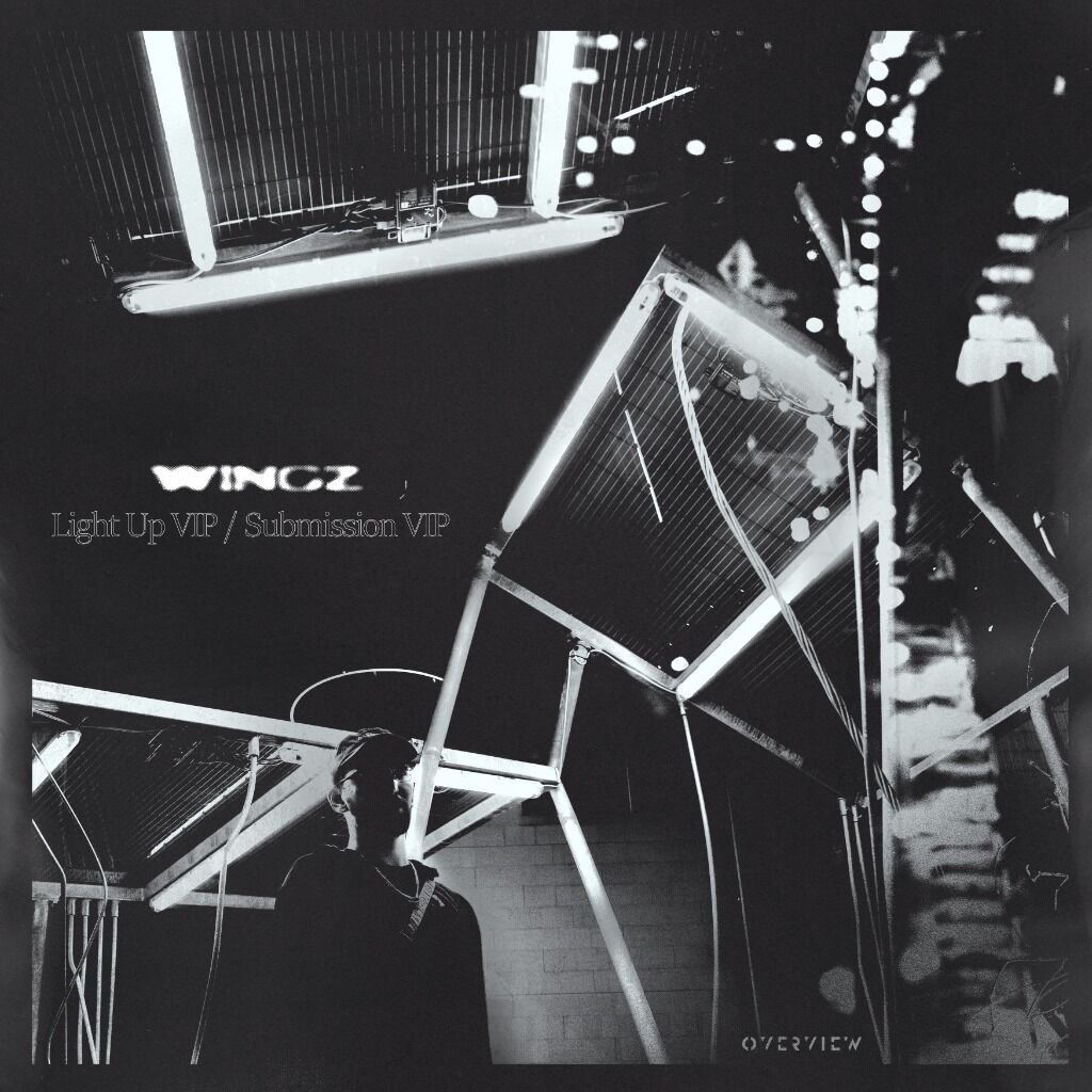 Wingz - Light Up VIP / Submission VIP