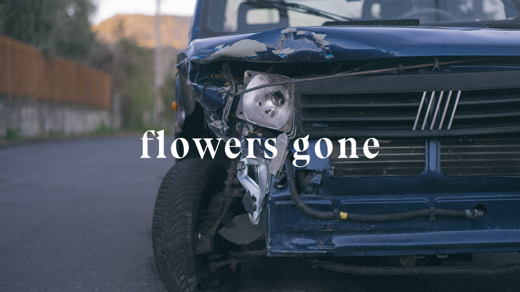 Flowers Gone - official visualizer