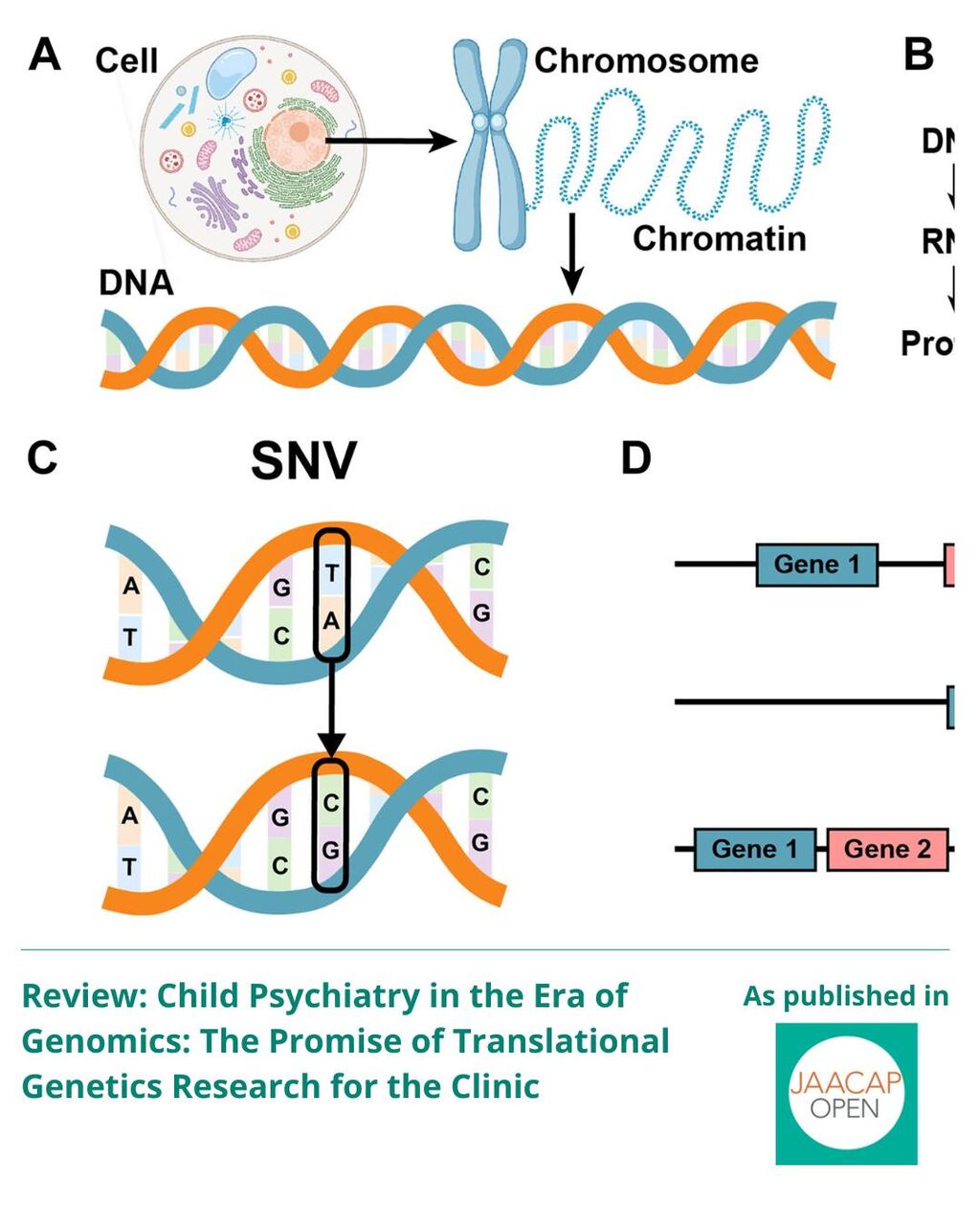 JAACAP 0625 Era of Genomics