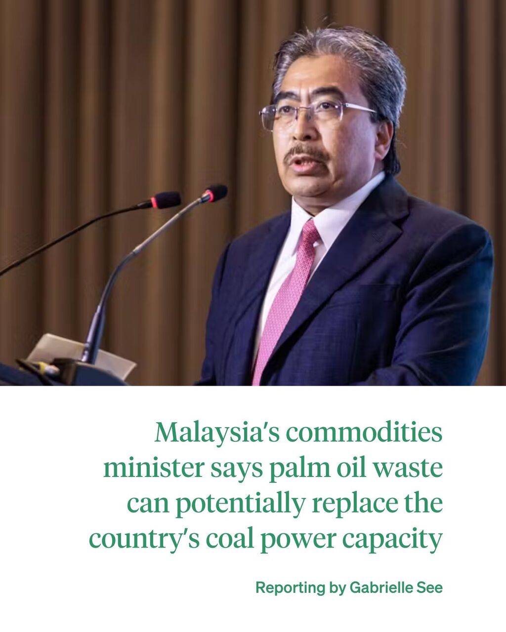 Palm oil waste can potentially replace Malaysia&rsquo;s coal power capacity, says minister
