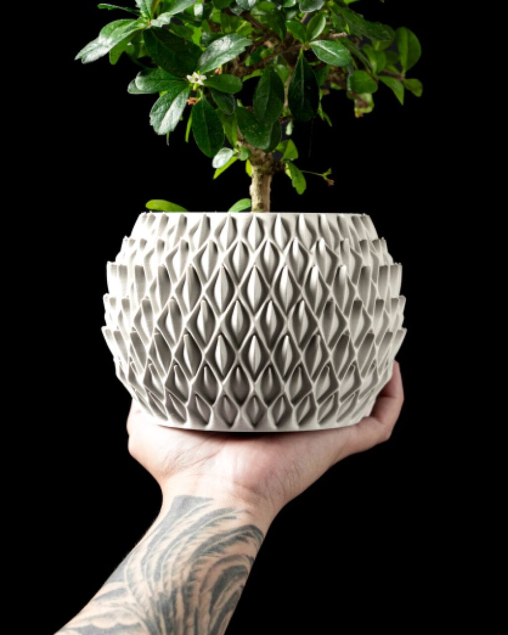 Petal Planter Pot