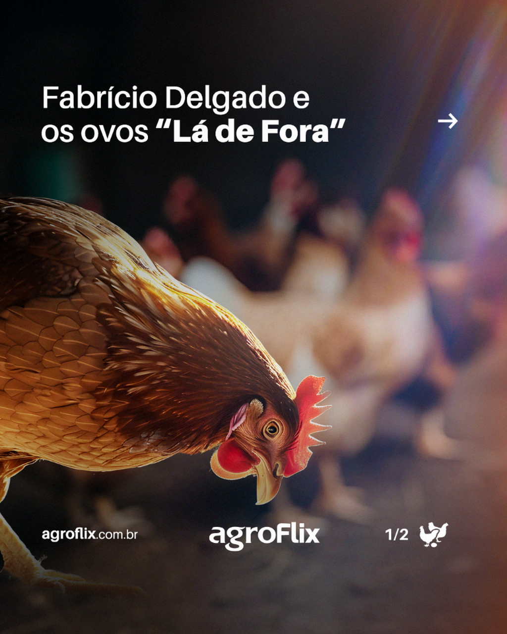 Conhe&ccedil;a os bastidores do projeto "L&aacute; de Fora", uma produ&ccedil;&atilde;o de ovos liderada por Fabr&iacute;cio Delgado
