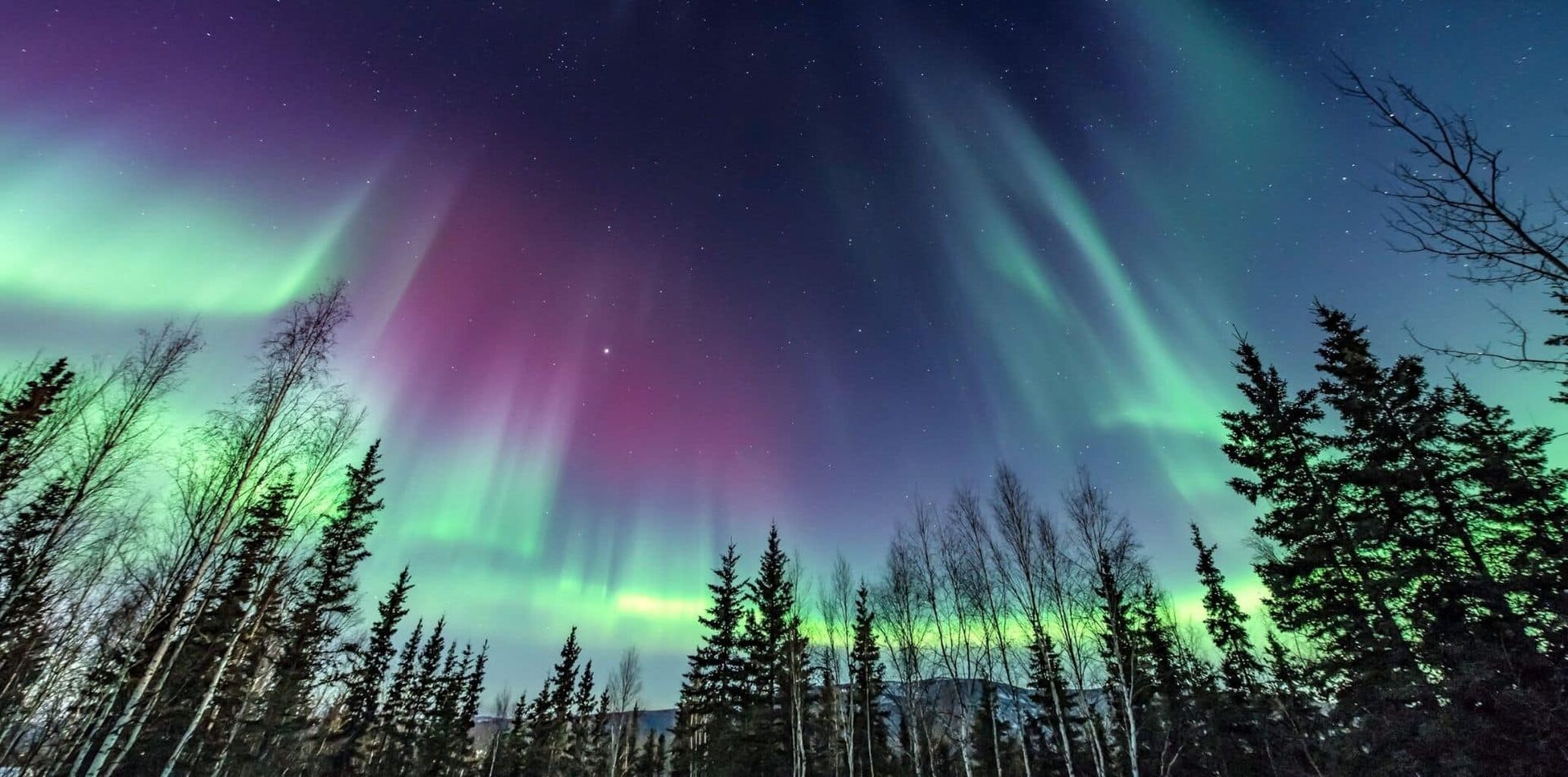 Alaska Adventure Vacation Packages | Classic Journeys