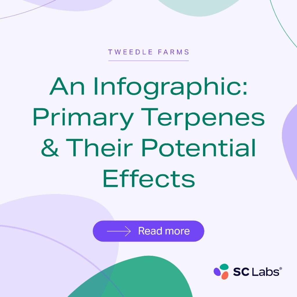 Tweedle Farms | An Infographic: Primary Terpenes & Their Potential Effects