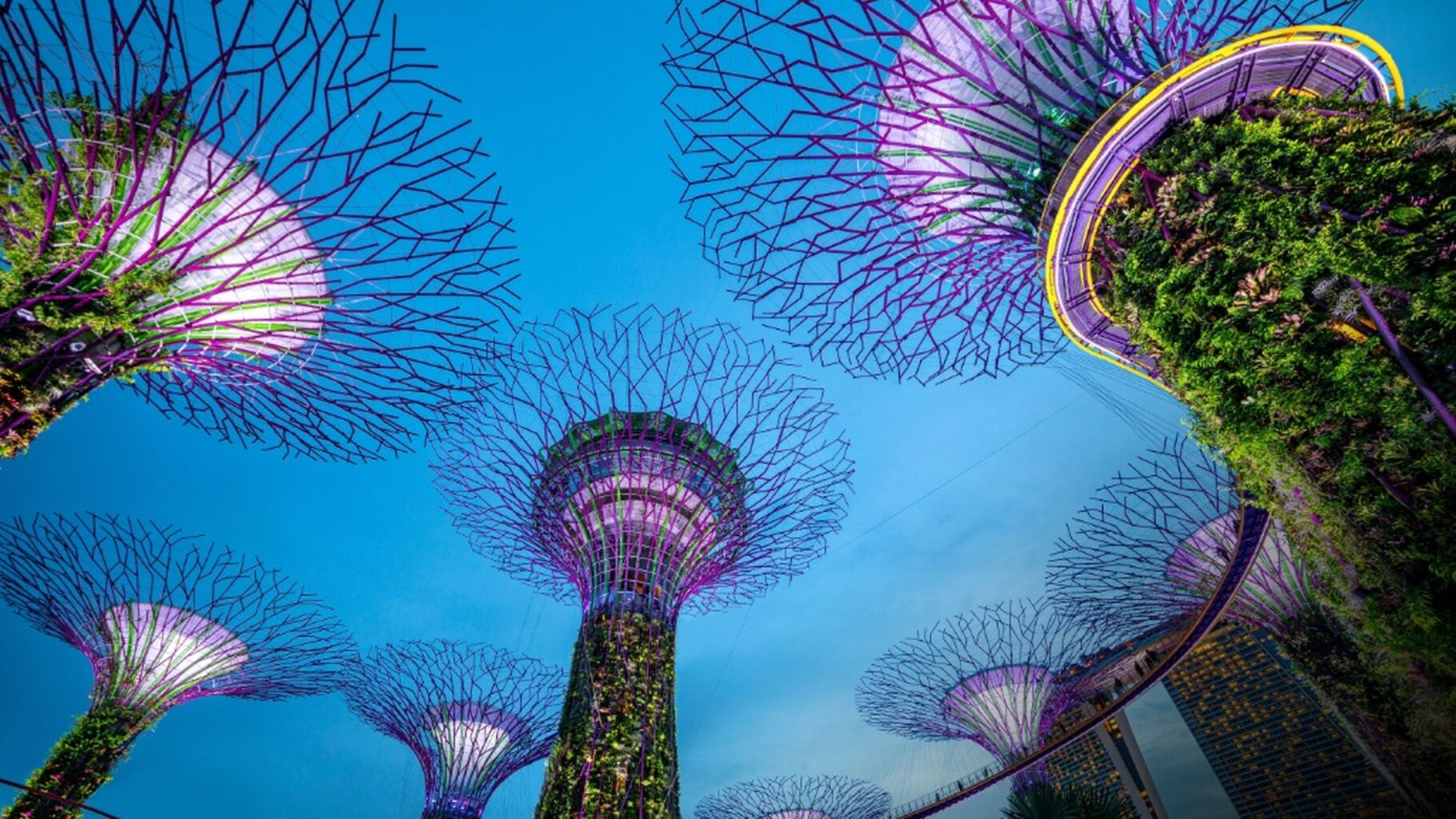 Marina Bay Night Walk with Spectra & Garden Rhapsody with Free eSIM