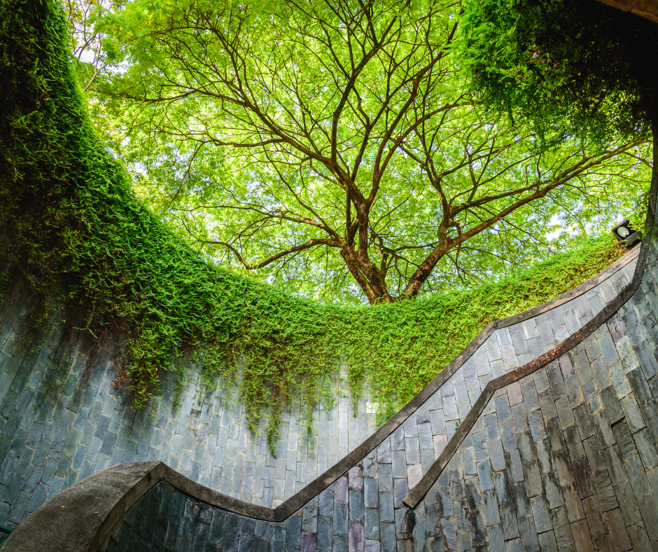 Fort Canning & Civic District Heritage Walk with Free eSIM