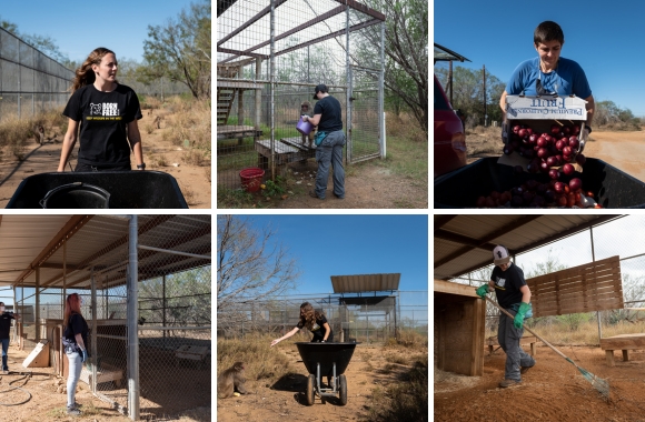 BLOG: Thank You, Sanctuary Caregivers, for Your Life-Changing Work! | Born Free USA