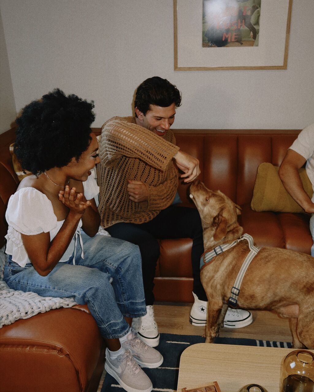 Pet friendly