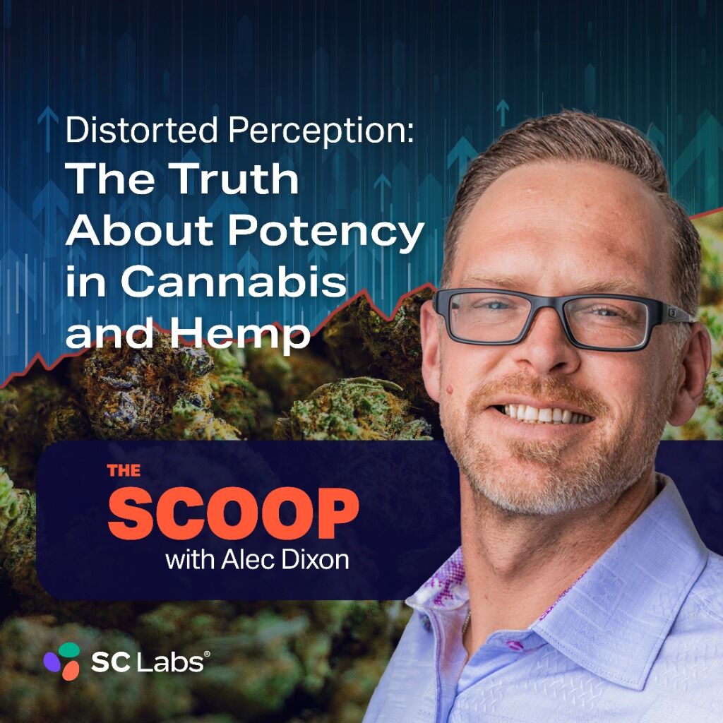 The Scoop S1 E8 | The Truth About THC Potency
