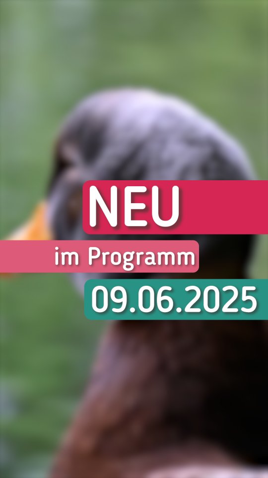 Das TV-Programm bei NRWision