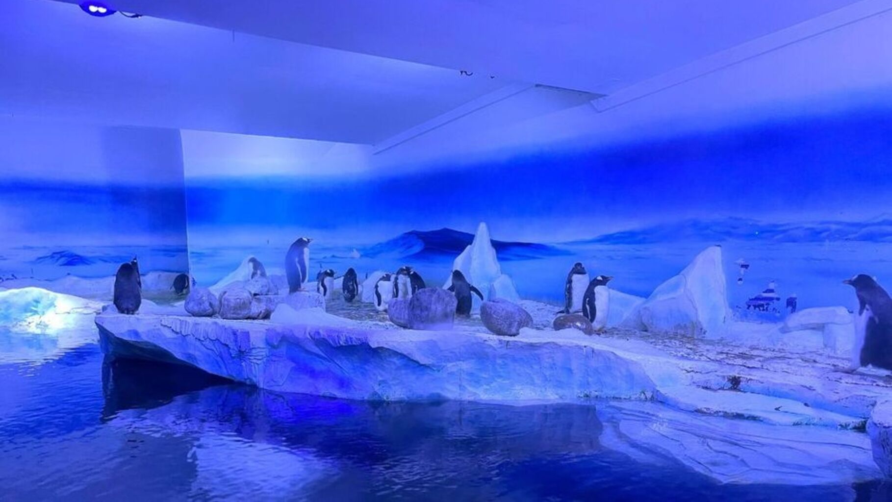 Free the Gentoo 15