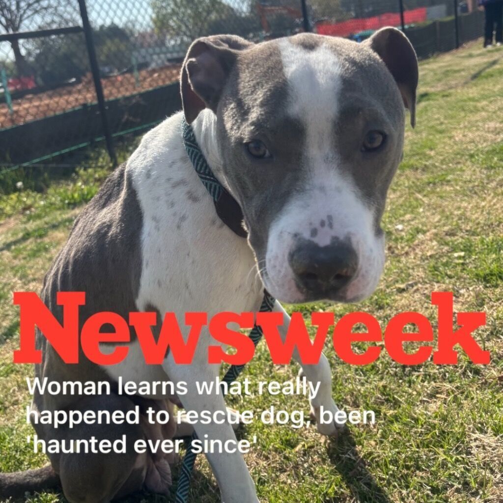 Newsweek June &lsquo;25