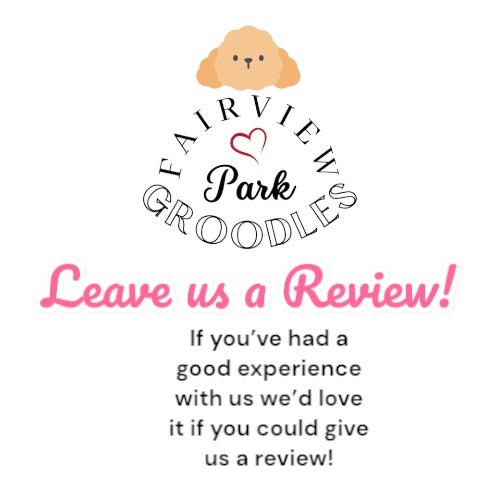 Leave us a Review!