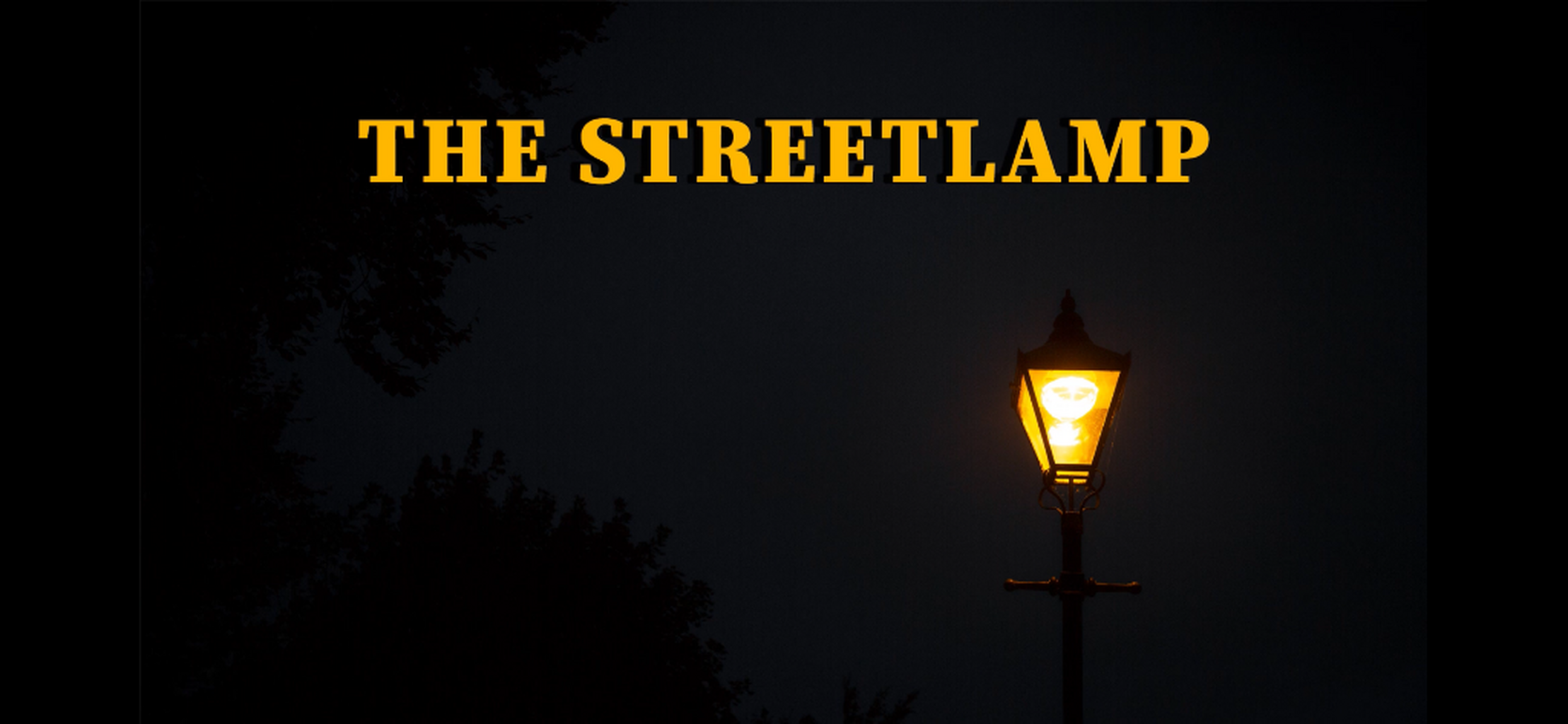 The Streetlamp - SHE See Her Elected