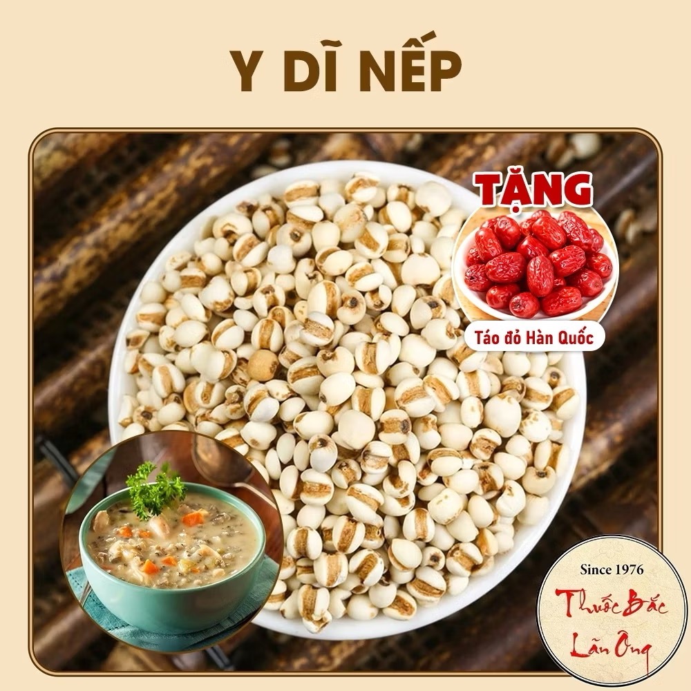 Hạt &Yacute; dĩ nếp