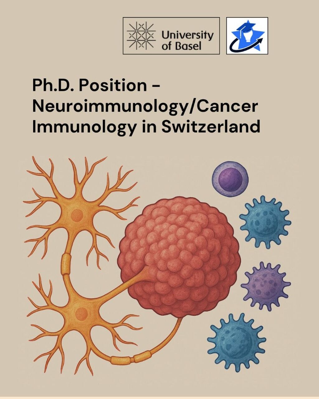 Ph.D. Position - Neuroimmunology