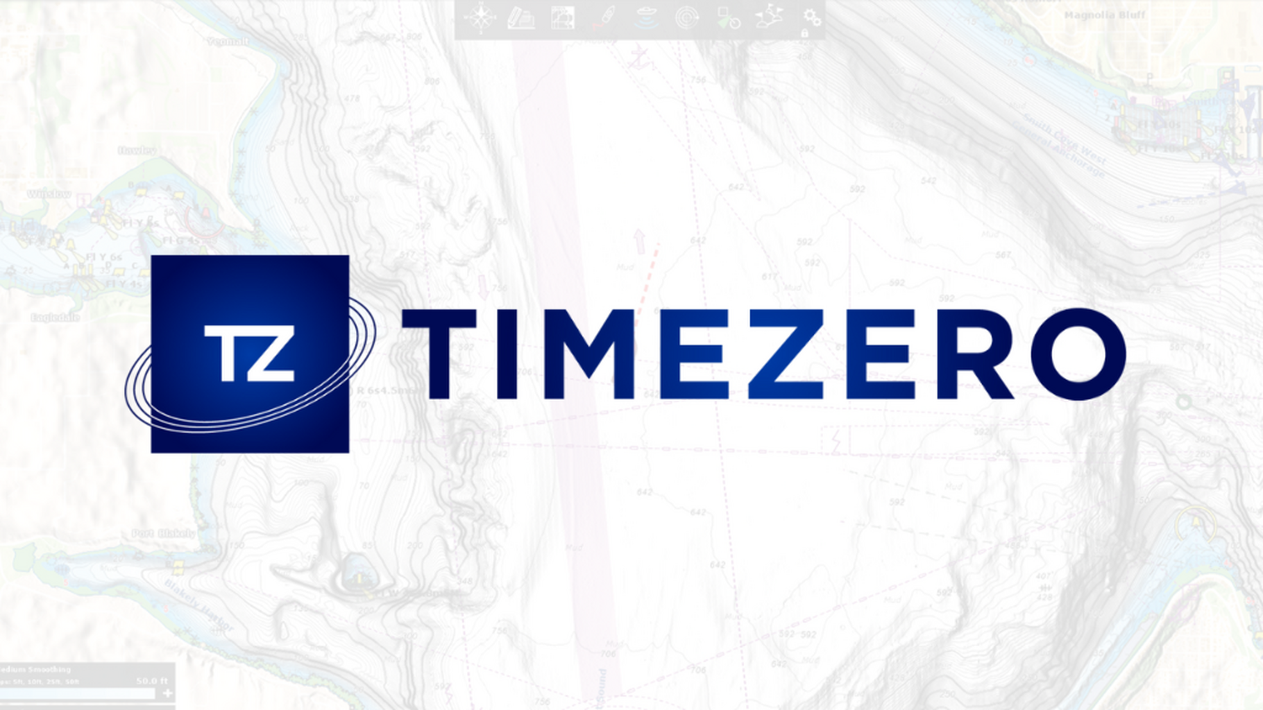 🌊 Introduction to TIMEZERO