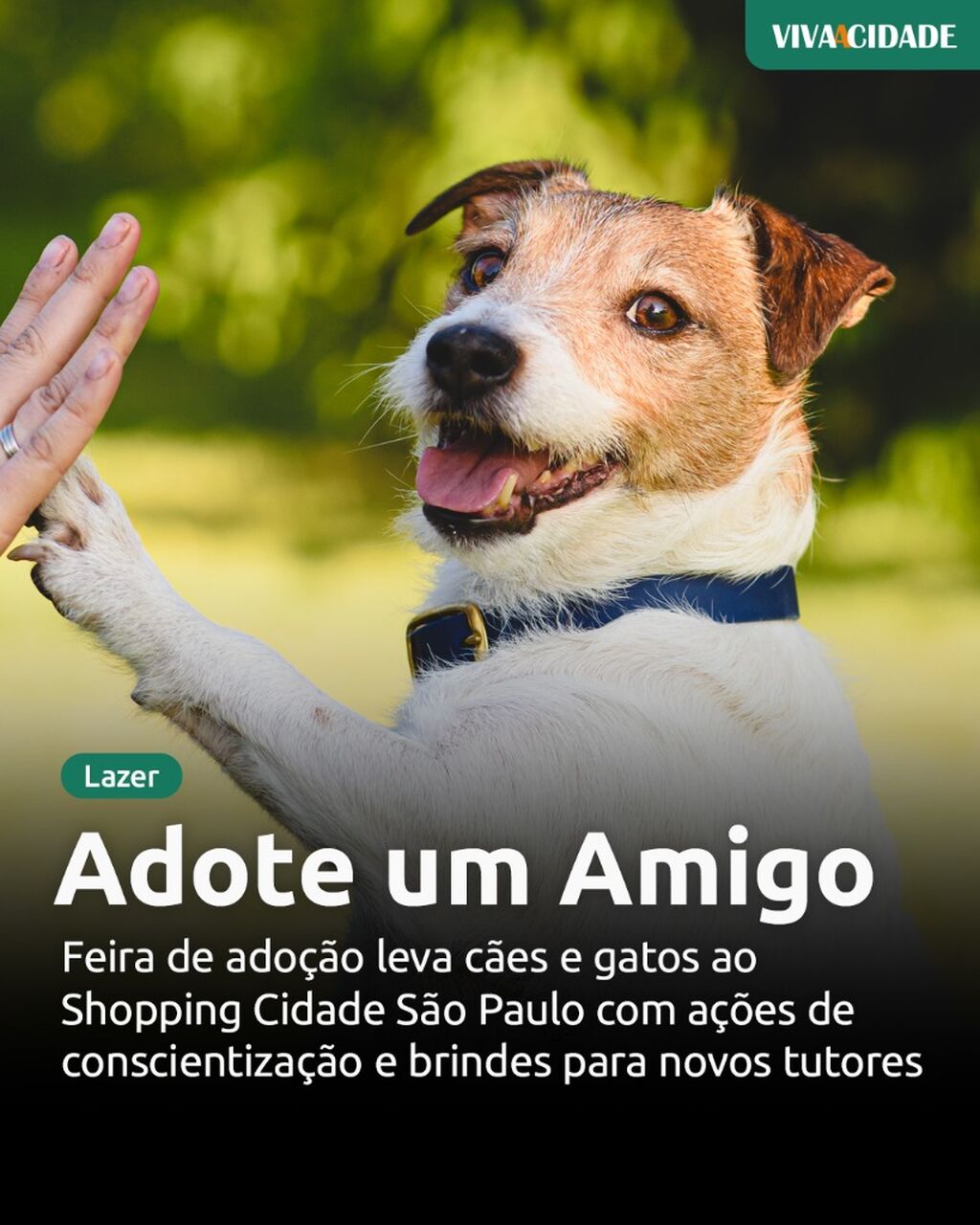 Adote um Amigo