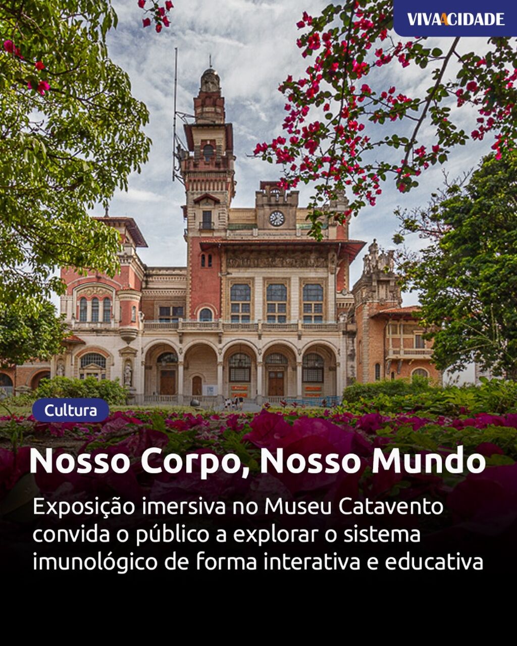 Nosso Corpo, Nosso Mundo