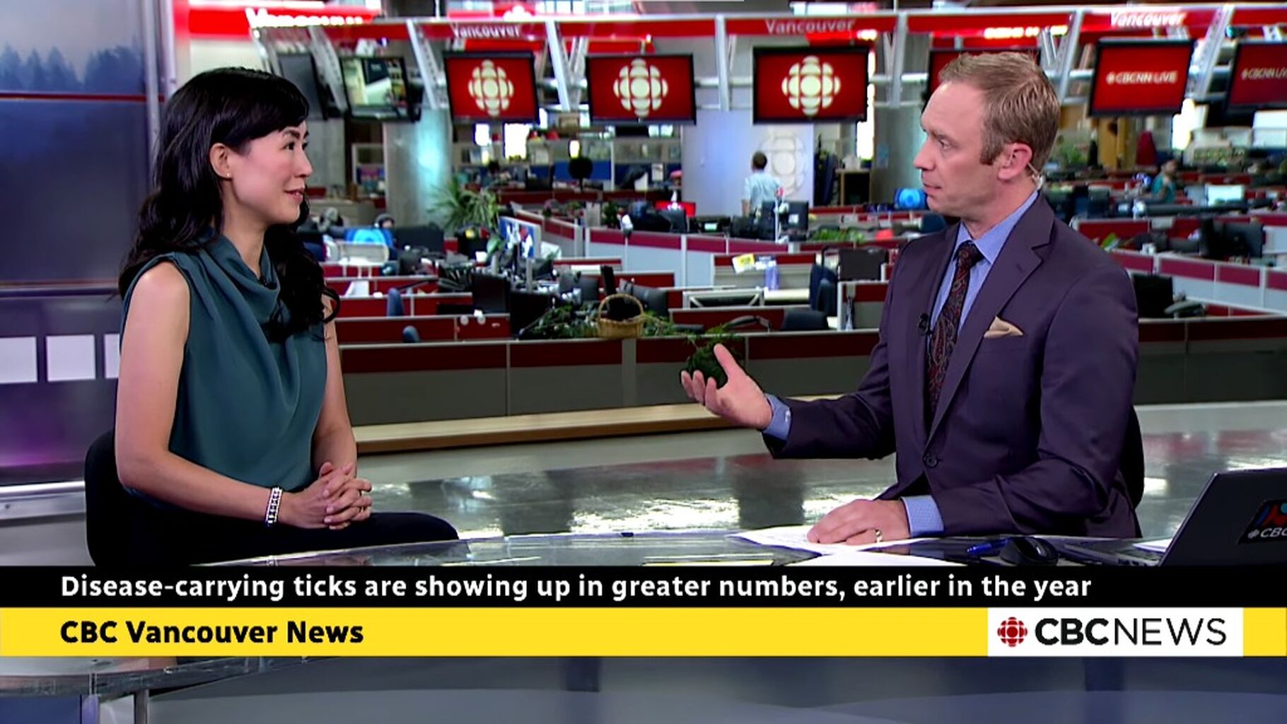 CBC News - Disease-carrying ticks are showing up in greater numbers, earlier in B.C.