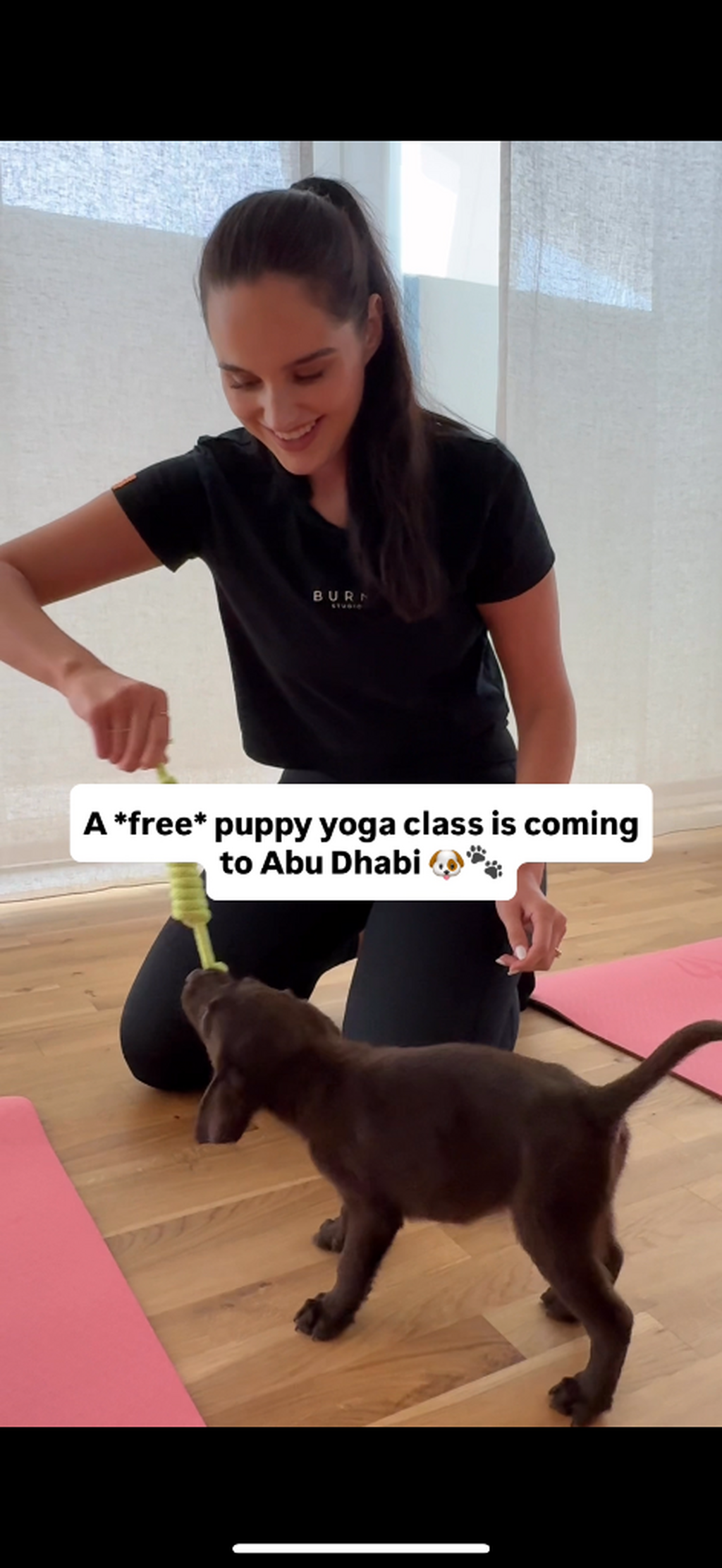 Puppy yoga is officially coming back to Abu Dhabi and it&rsquo;s completely free