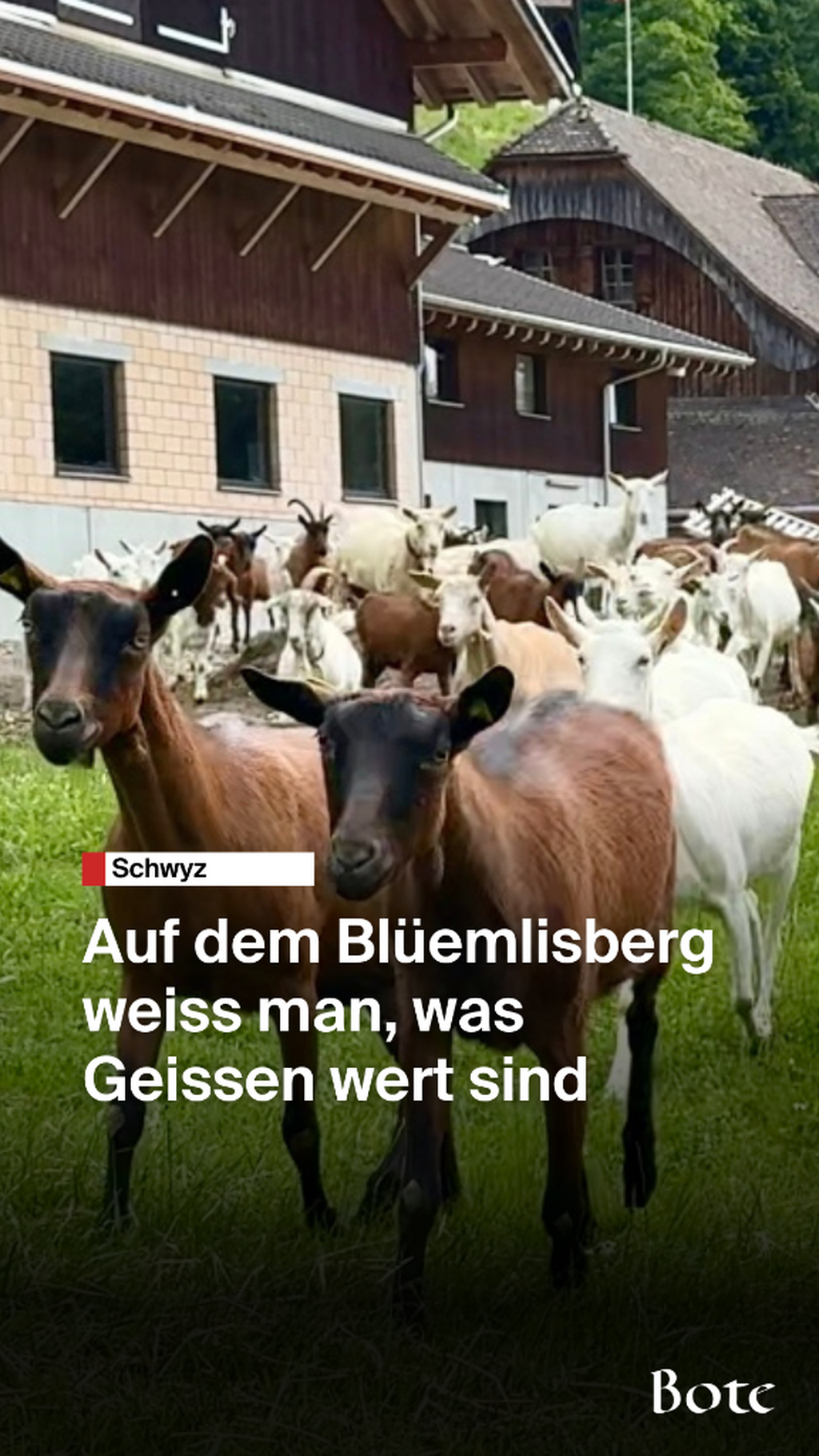 Bl&uuml;emlisberg