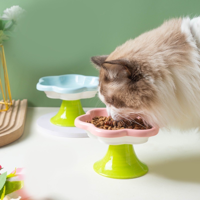SHIPS TO SINGAPORE ONLY - Ergonomic Flower Cat Bowl