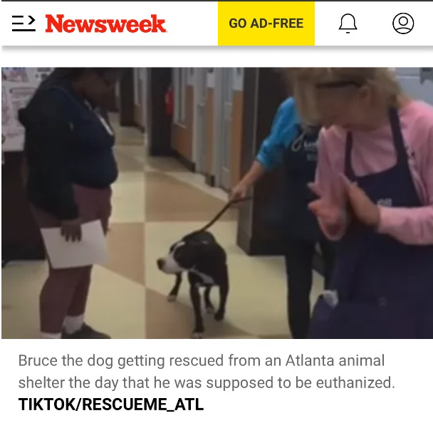 Newsweek BRUCE