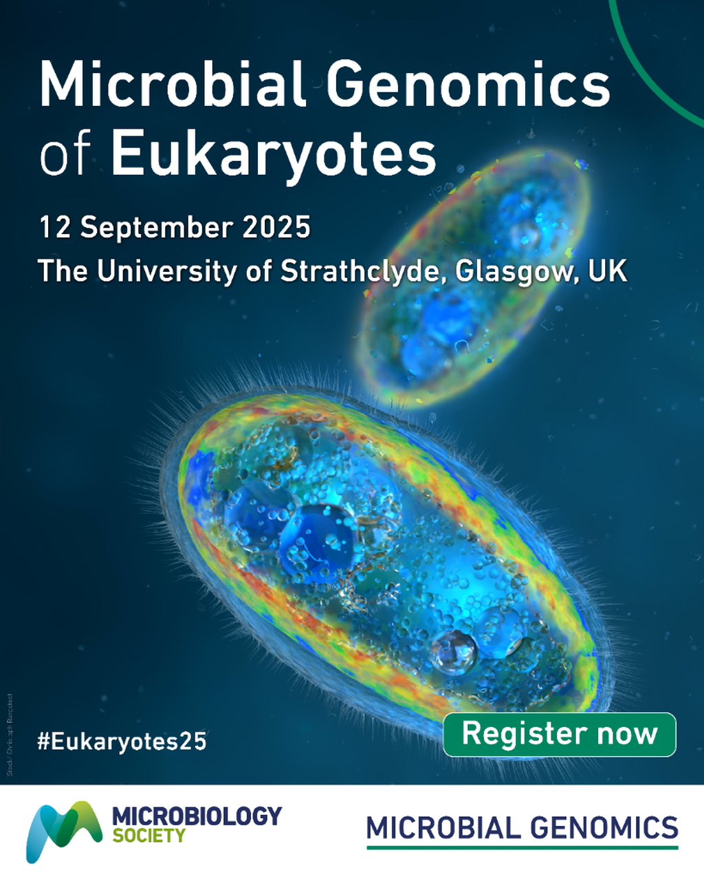 Microbial Genomics of Eukaryotes
