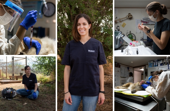 BLOG: Celebrating 10 Years of Dr. Jennings&rsquo; Service to the Sanctuary! | Born Free USA