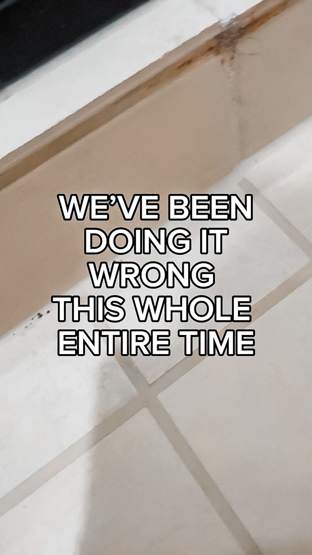 Mold Remover