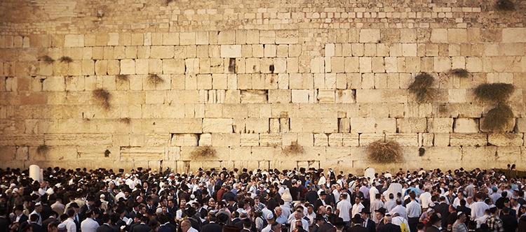 Past Event - Sun Aug 3rd 2025 - Movie & Break Fast for Tisha B'Av