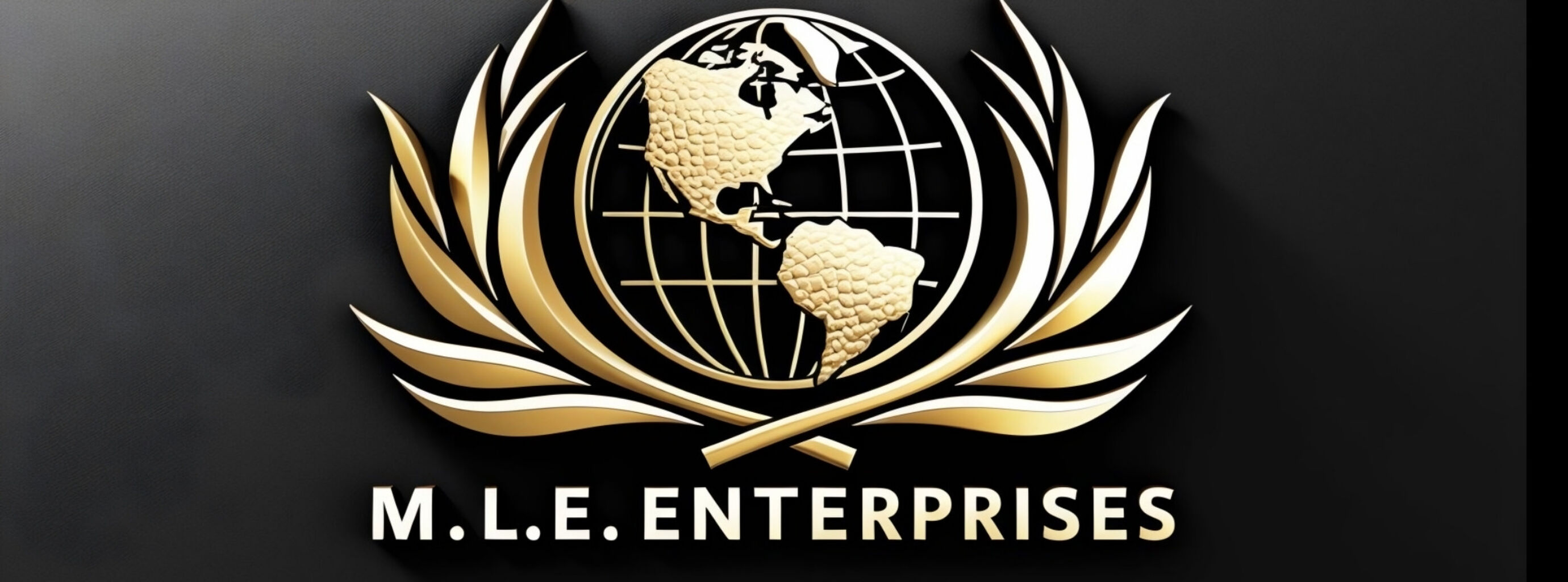 M.L.E Enterprises | Creative Solutions