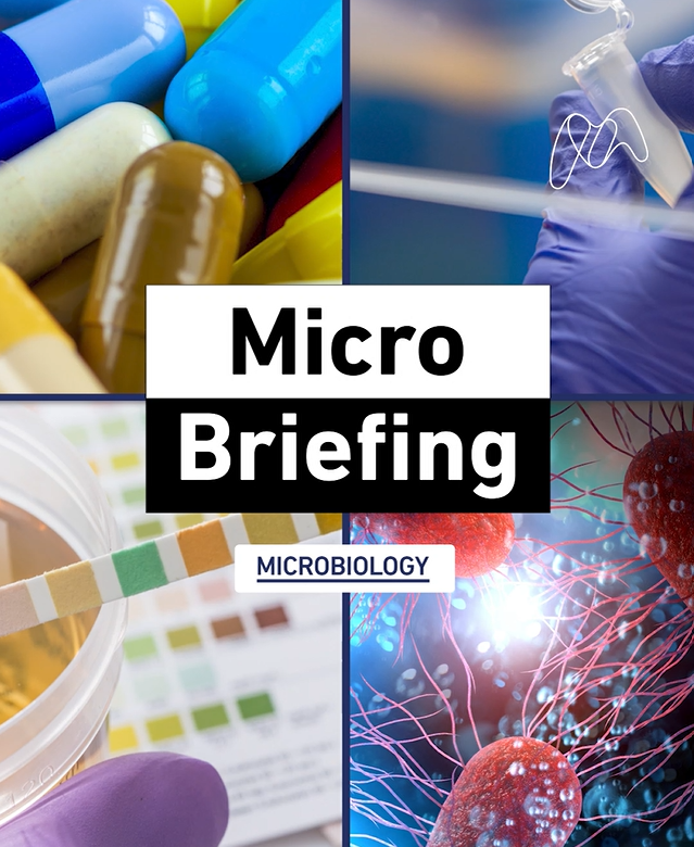 How might sugar shape antimicrobial resistance in bacteria?