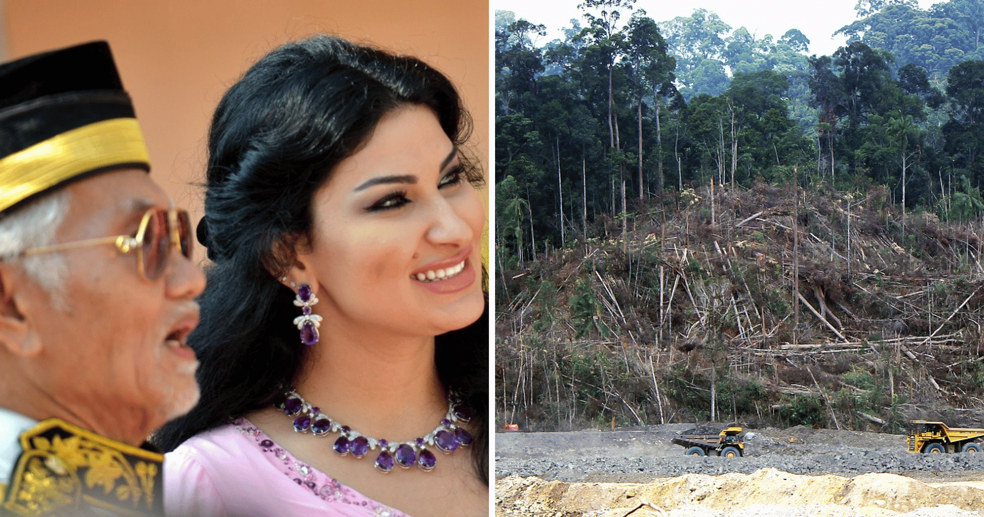 How one family made $21 billion destroying the world's oldest rainforest&mdash;and they're still fighting over the money