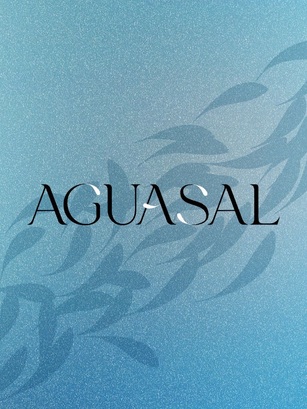 Aguasal - Streetsense