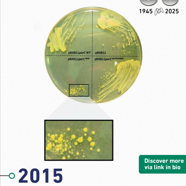 MGen 2015