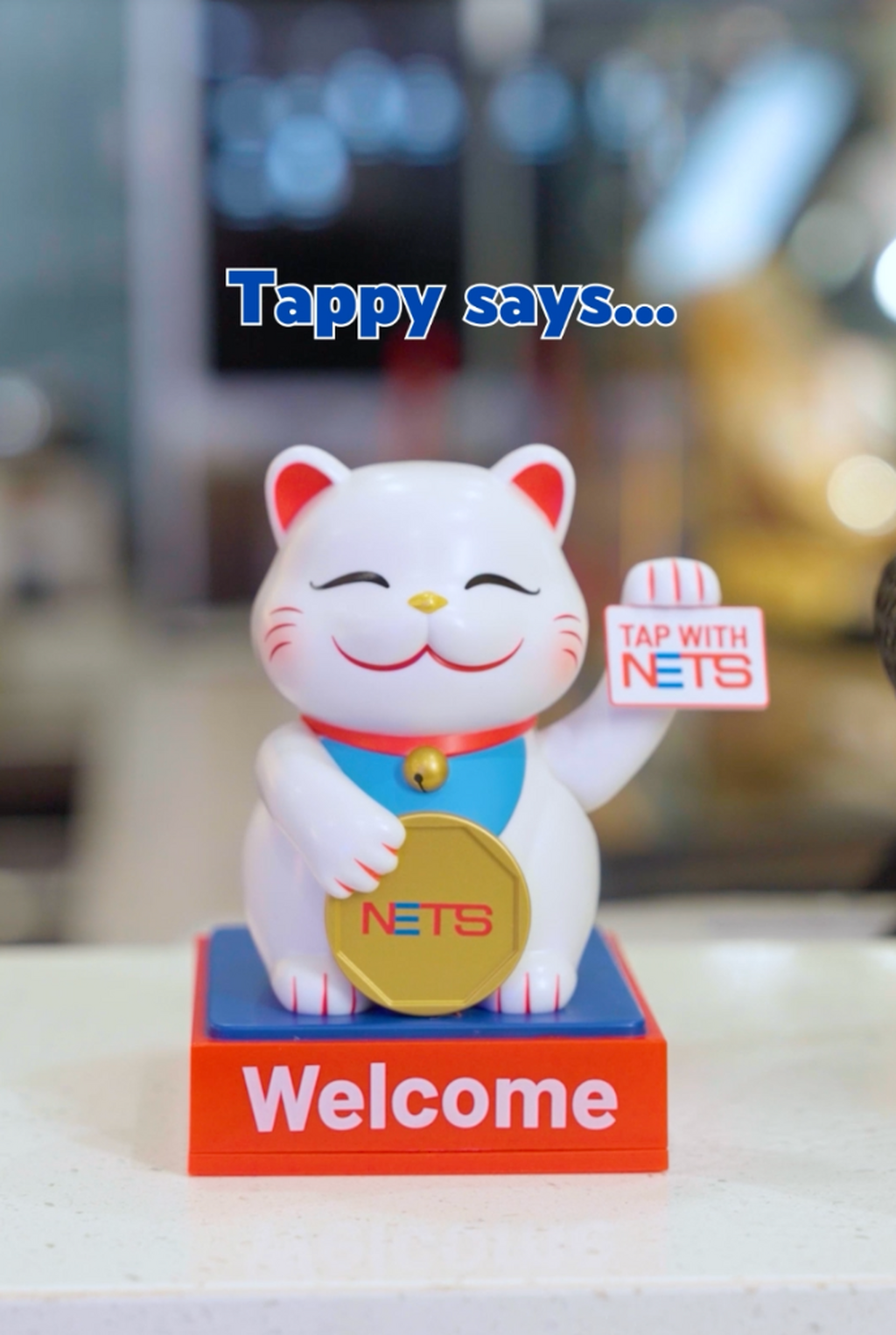 NETS Tappy Cat